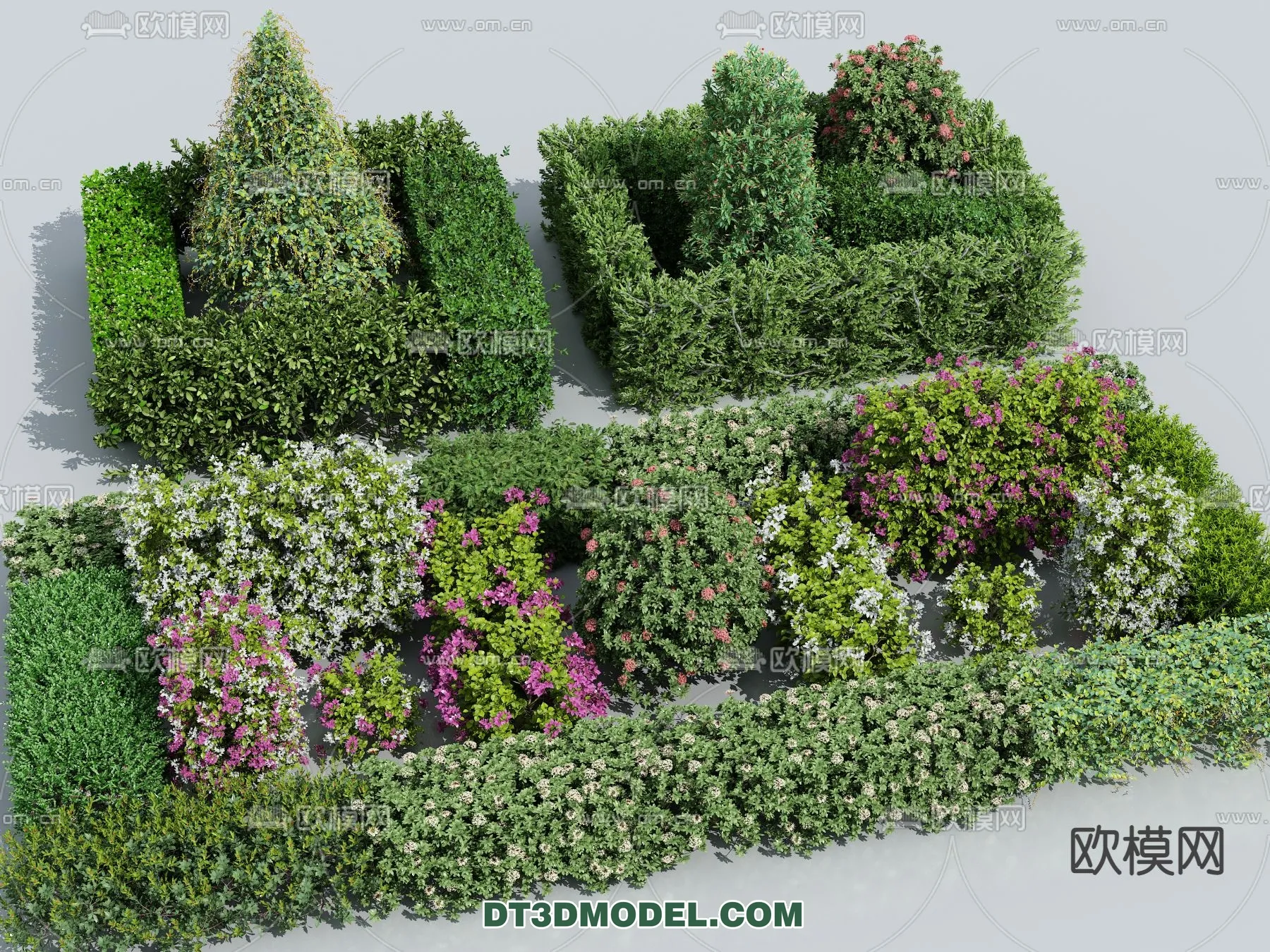 PLANTS – BUSH – VRAY / CORONA – 3D MODEL – 360