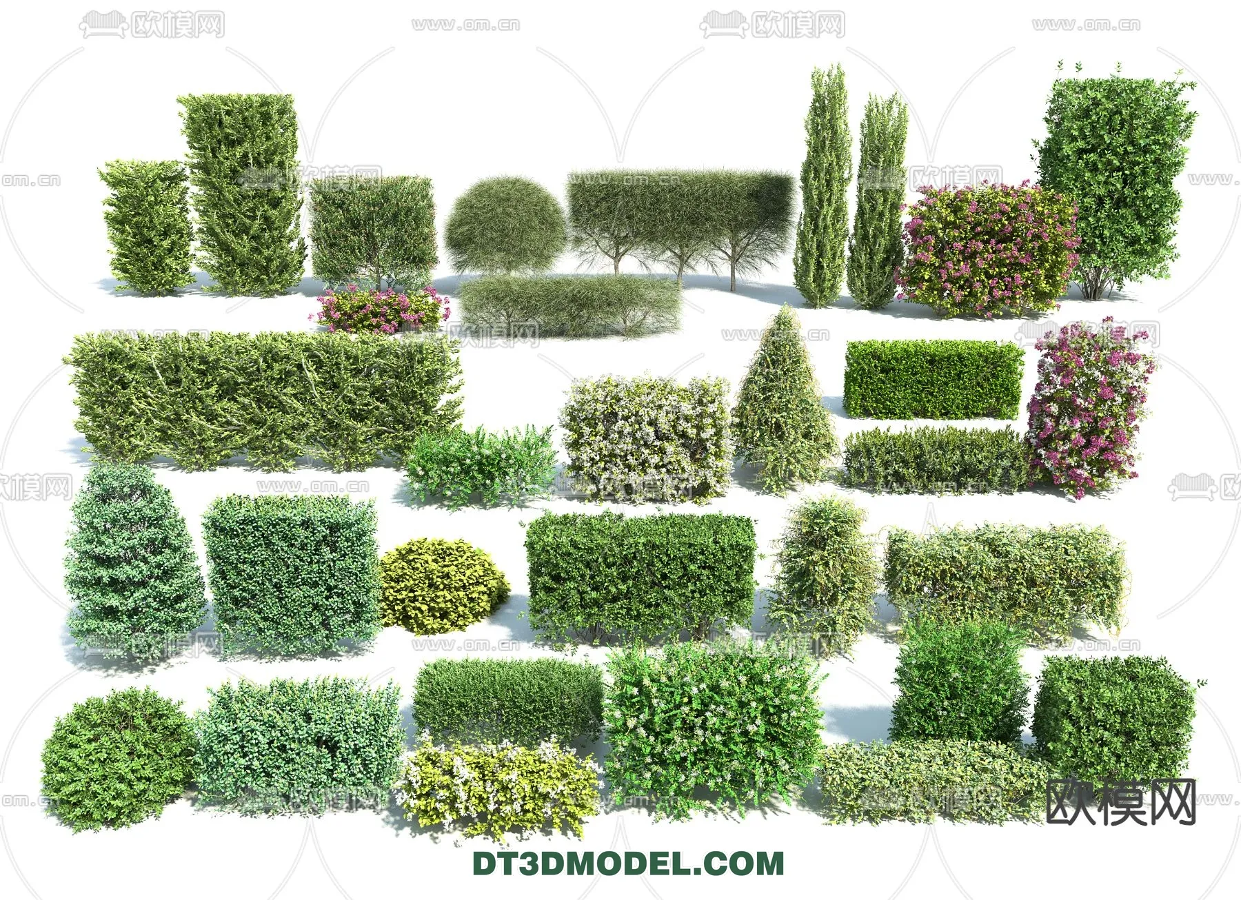 PLANTS – BUSH – VRAY / CORONA – 3D MODEL – 368