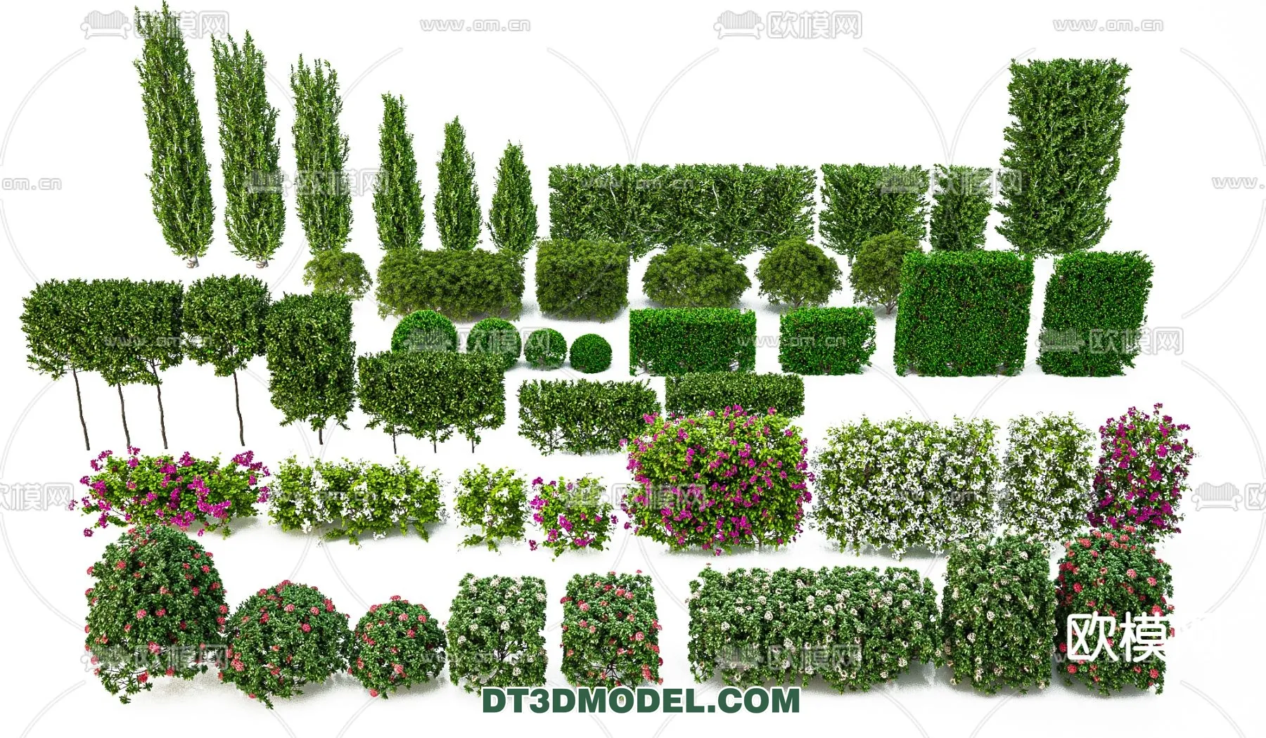 PLANTS – BUSH – VRAY / CORONA – 3D MODEL – 369