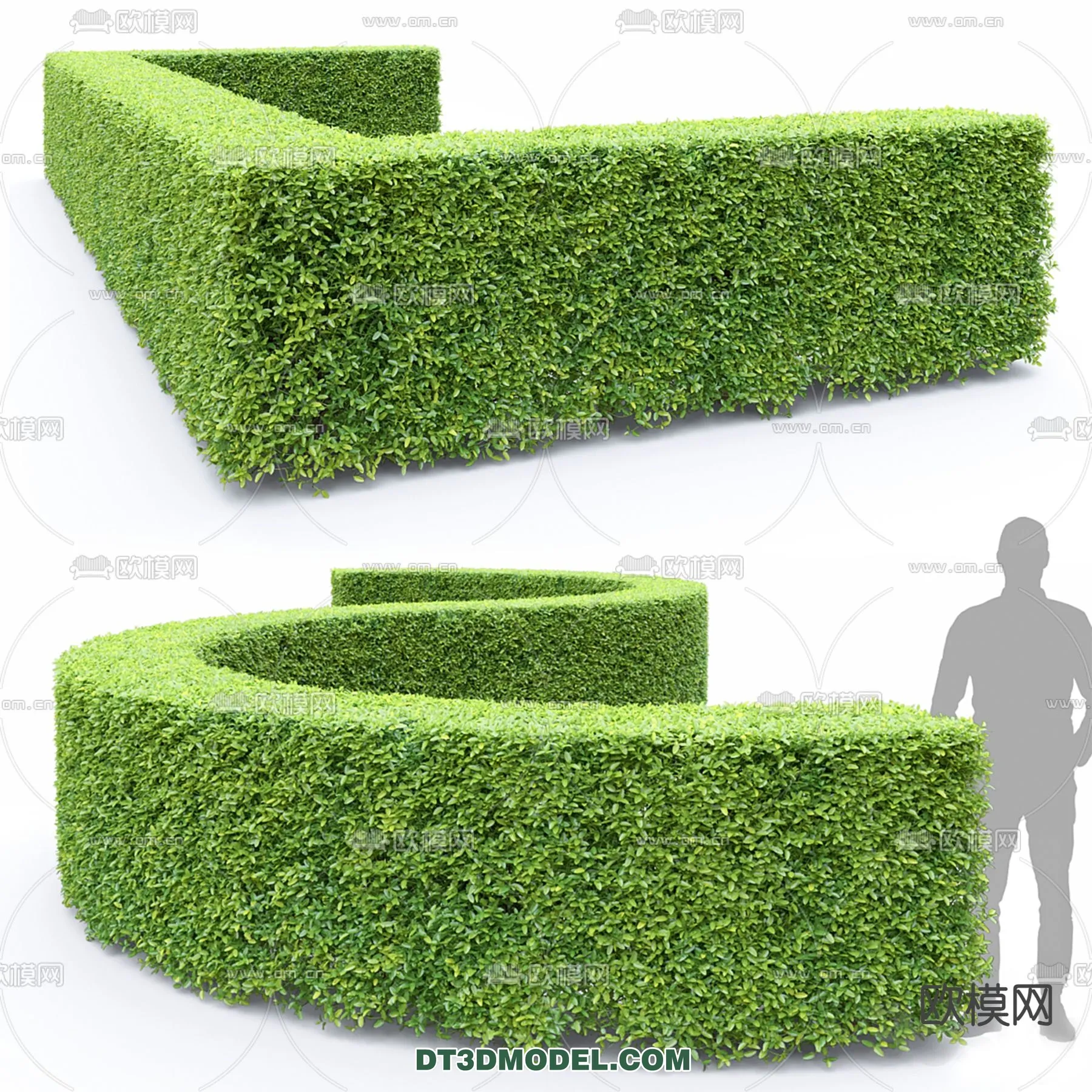 PLANTS – BUSH – VRAY / CORONA – 3D MODEL – 370