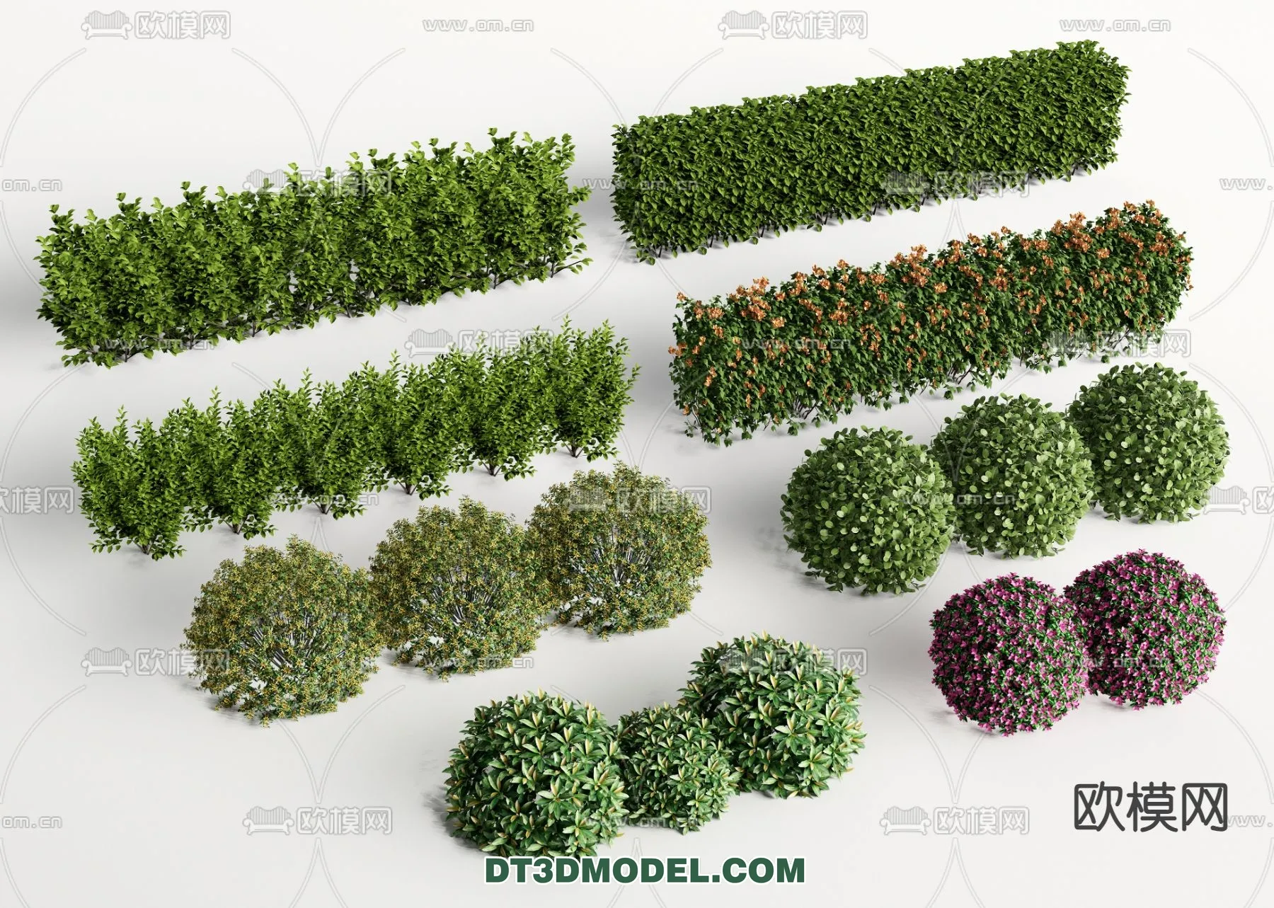 PLANTS – BUSH – VRAY / CORONA – 3D MODEL – 375
