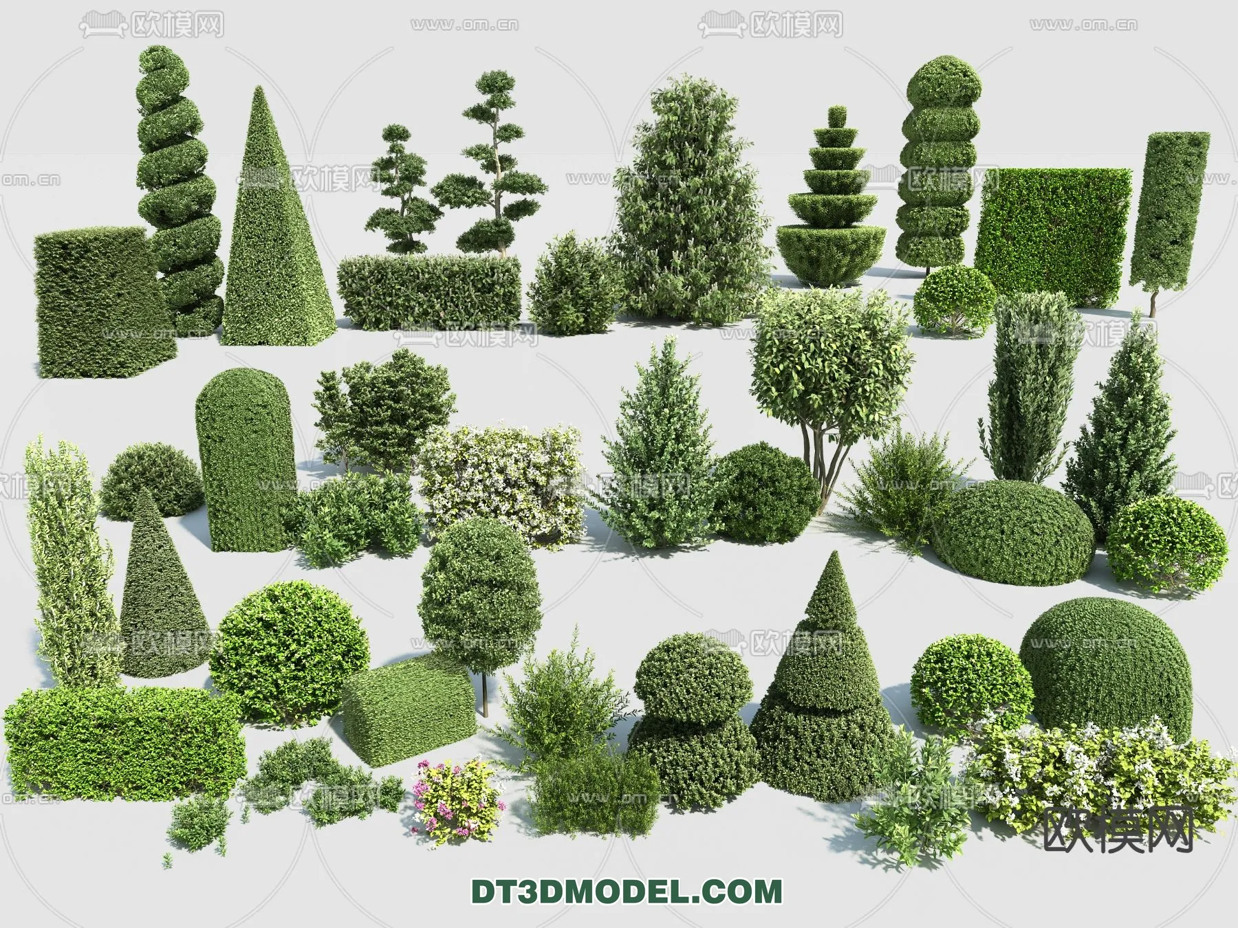 PLANTS – BUSH – VRAY / CORONA – 3D MODEL – 380