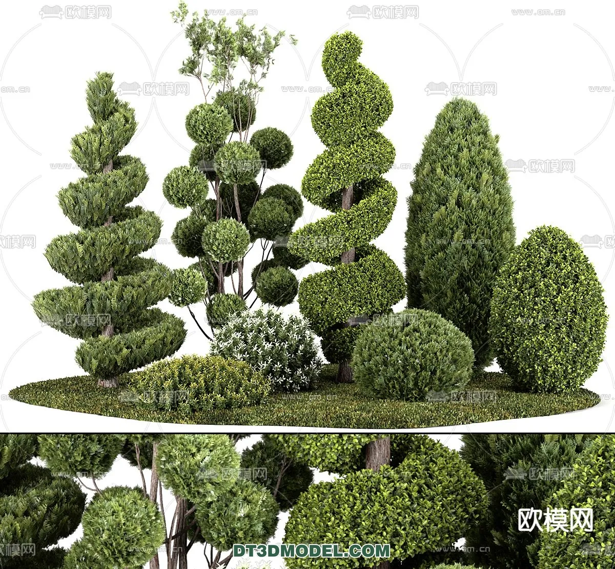 PLANTS – BUSH – VRAY / CORONA – 3D MODEL – 382