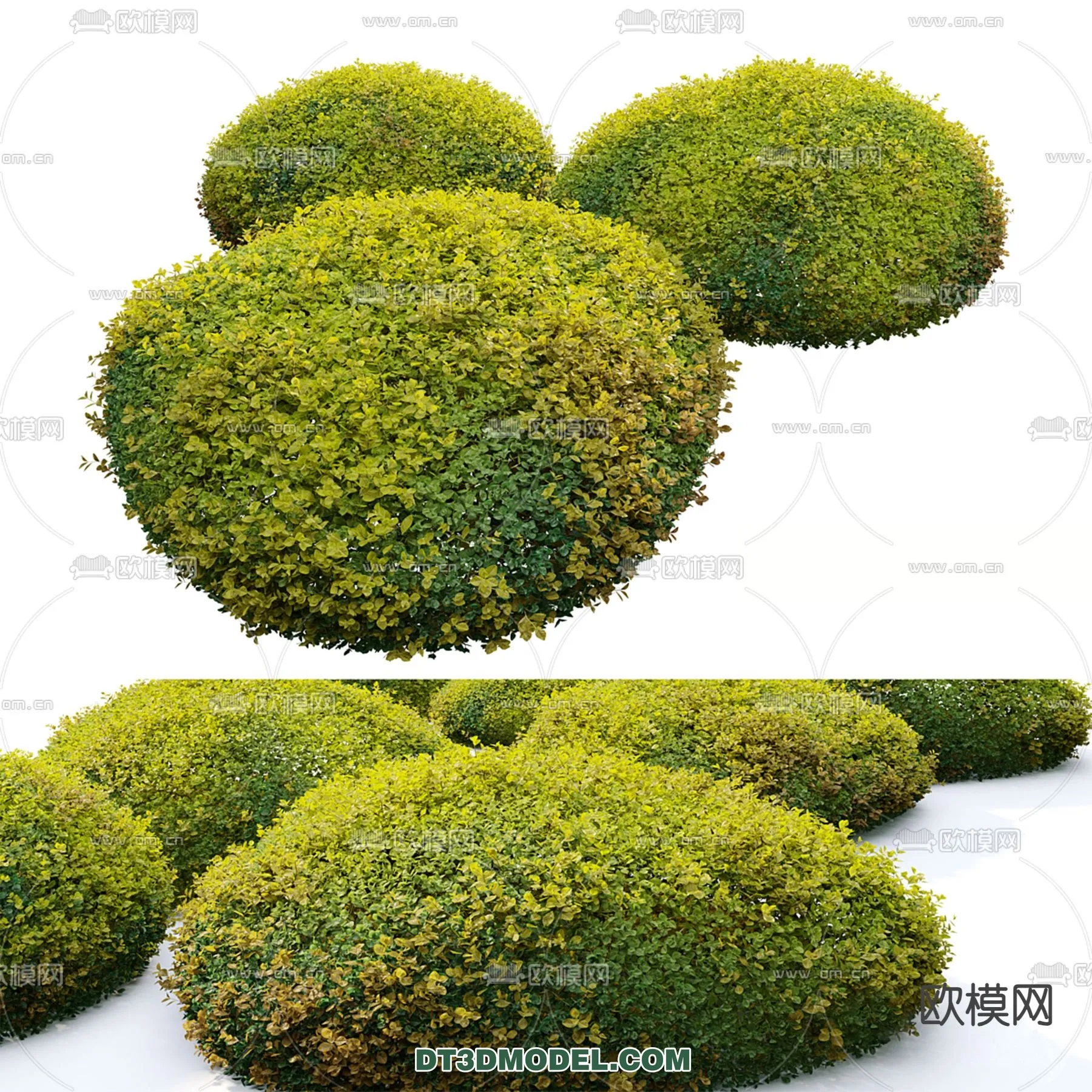PLANTS – BUSH – VRAY / CORONA – 3D MODEL – 384