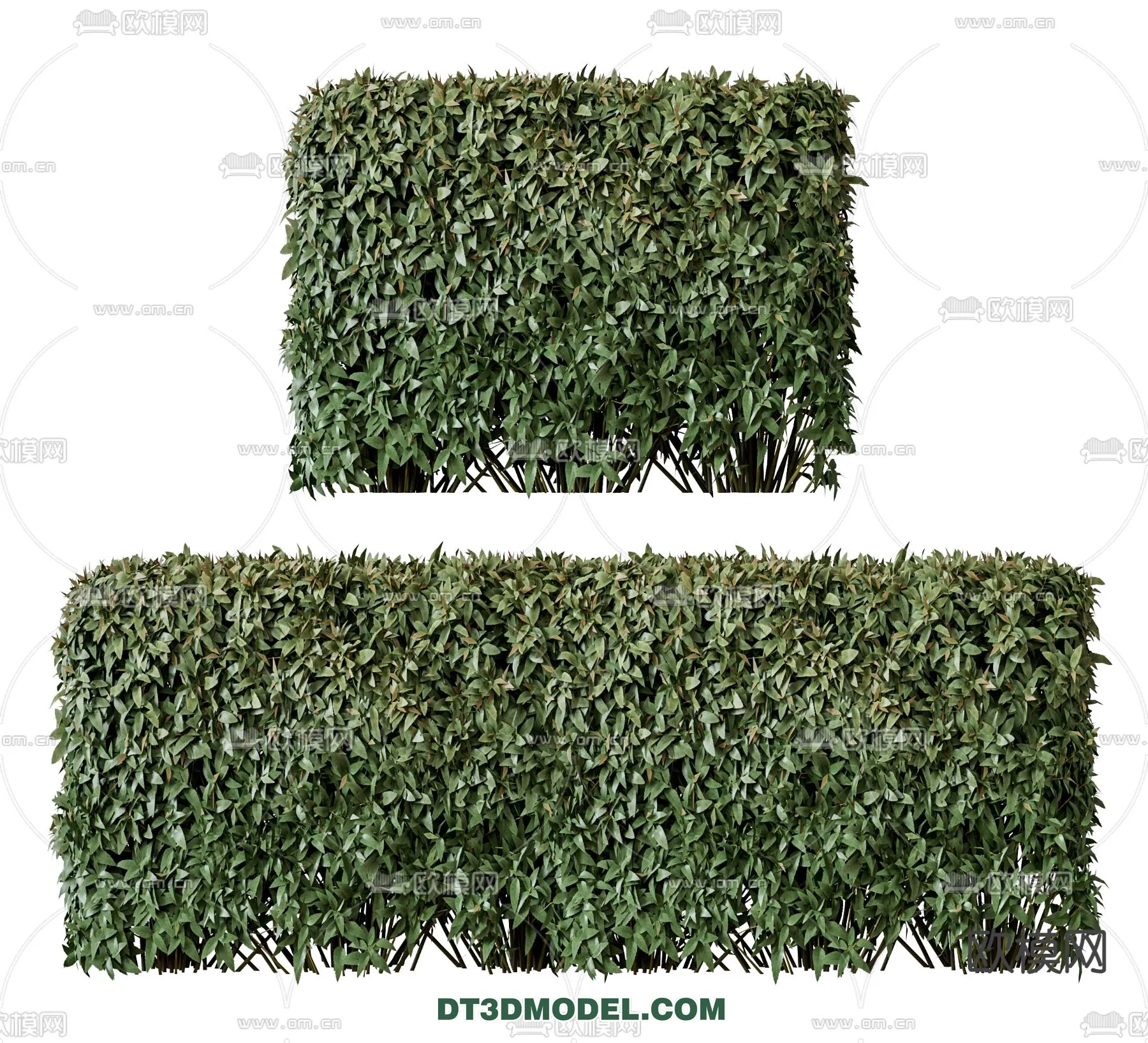 PLANTS – BUSH – VRAY / CORONA – 3D MODEL – 386