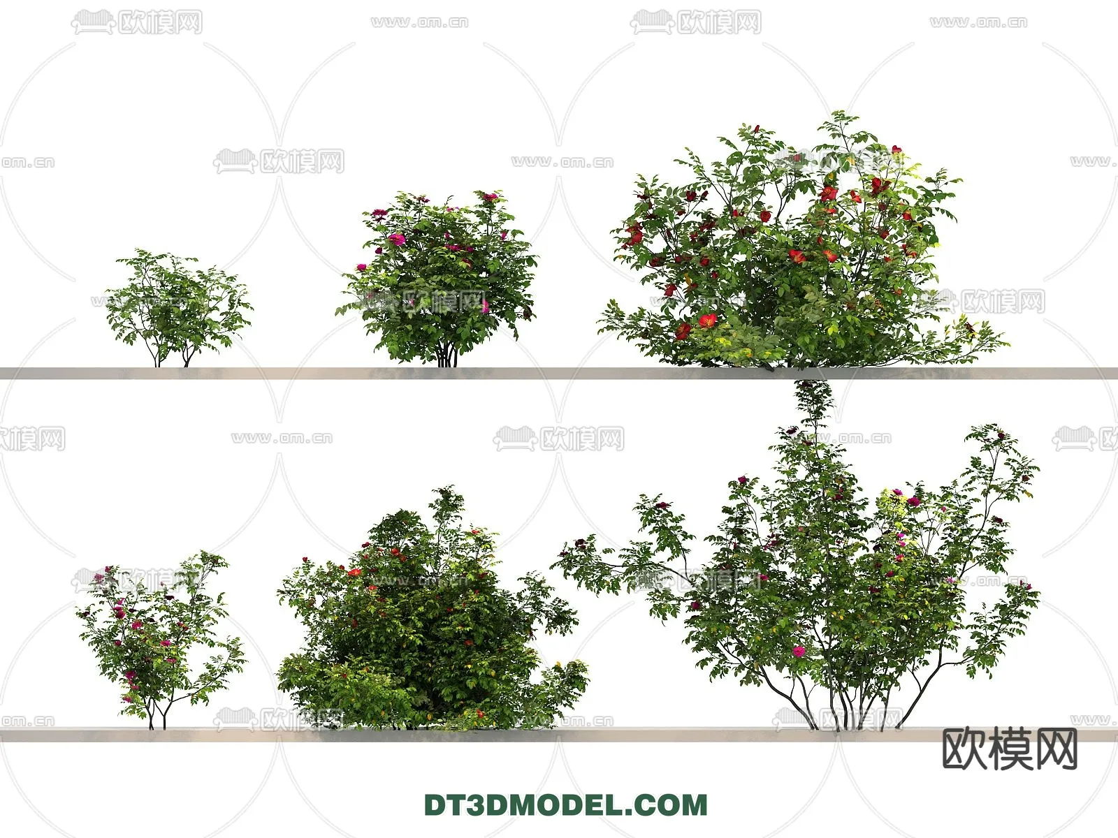 PLANTS – BUSH – VRAY / CORONA – 3D MODEL – 387