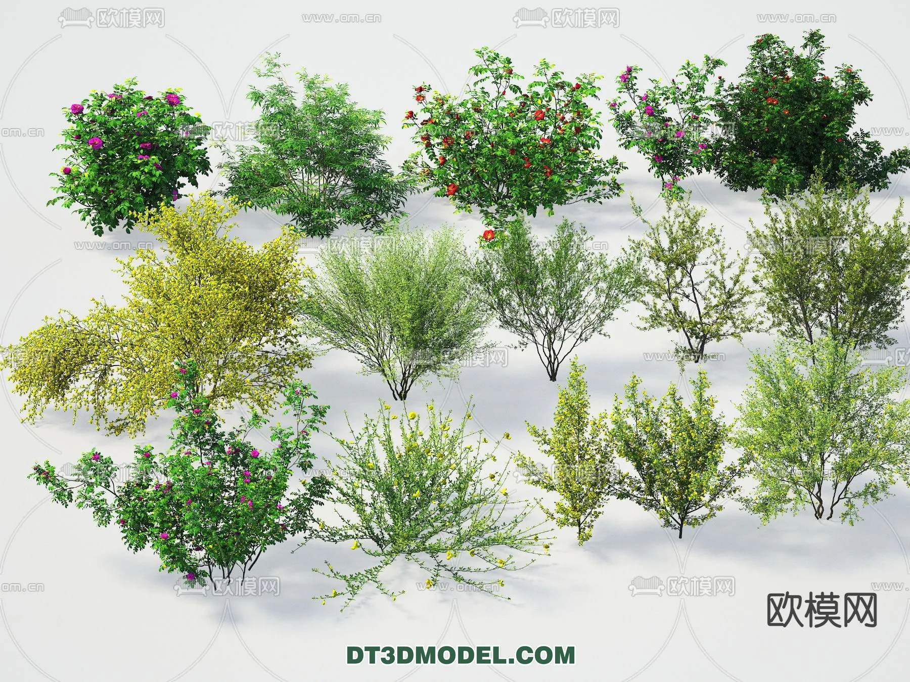 PLANTS – BUSH – VRAY / CORONA – 3D MODEL – 388