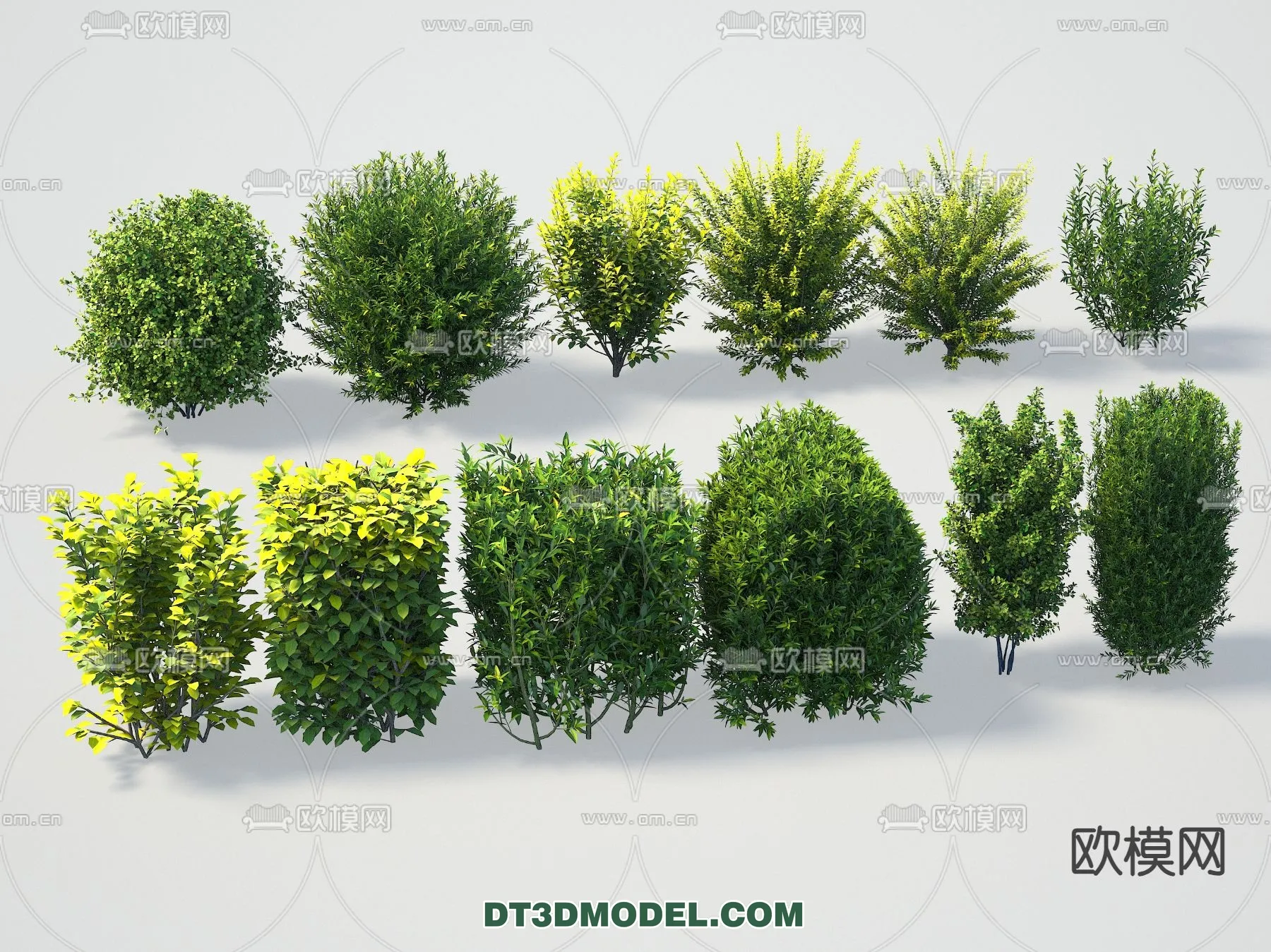 PLANTS – BUSH – VRAY / CORONA – 3D MODEL – 389