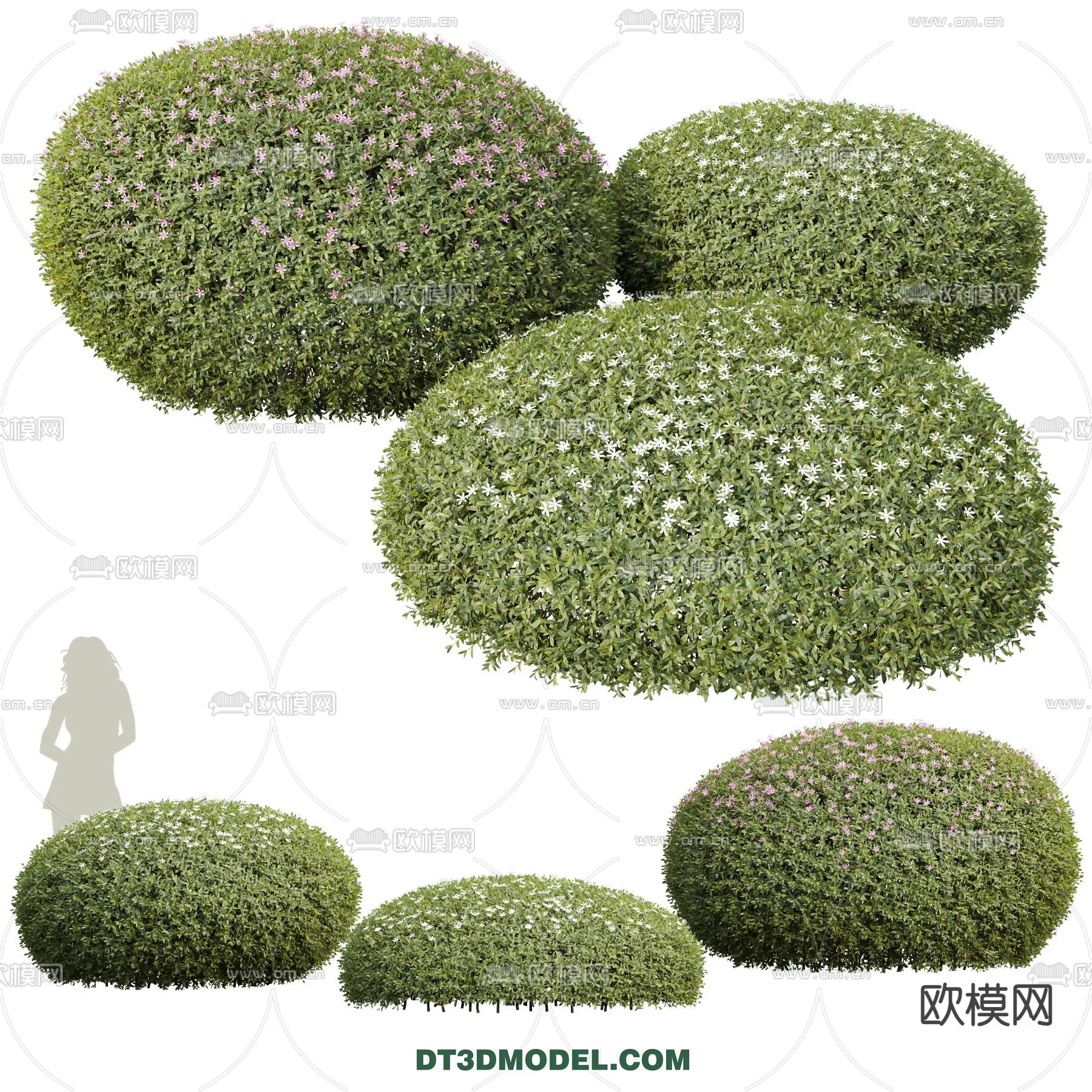 PLANTS – BUSH – VRAY / CORONA – 3D MODEL – 392