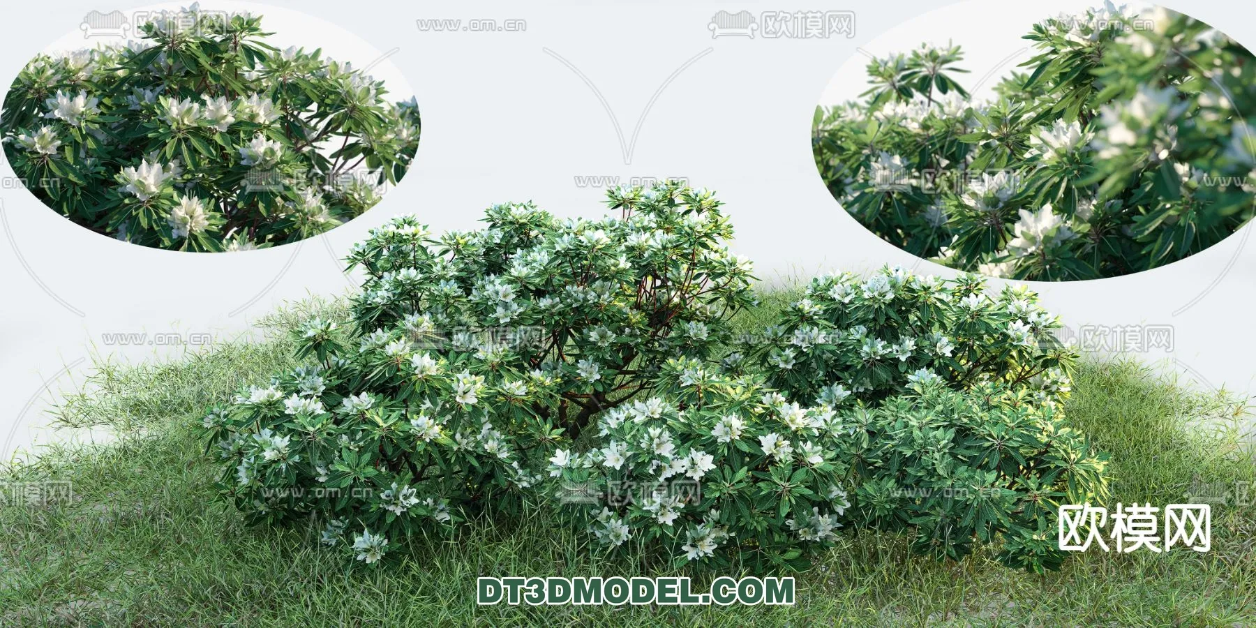 PLANTS – BUSH – VRAY / CORONA – 3D MODEL – 393