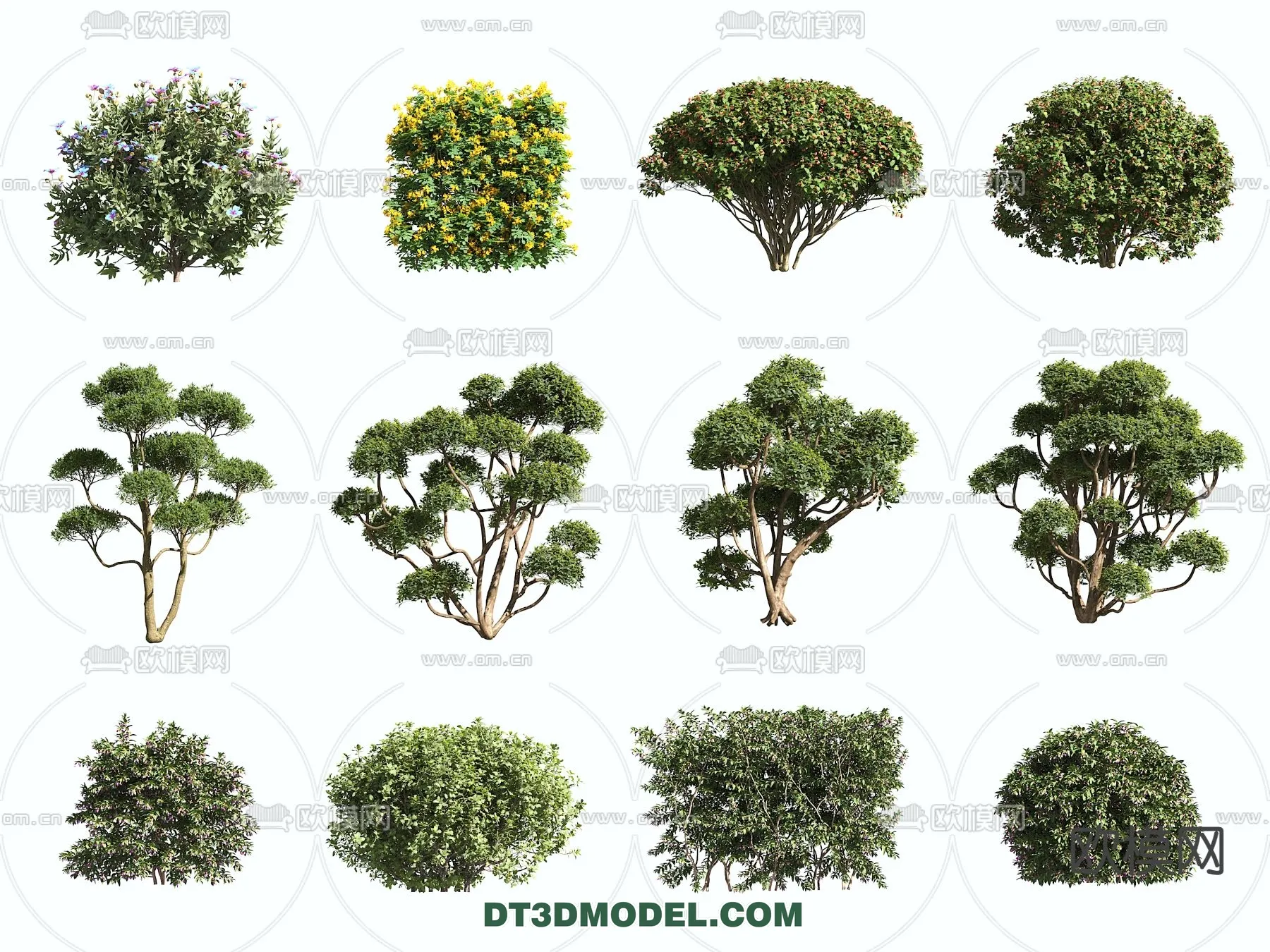 PLANTS – BUSH – VRAY / CORONA – 3D MODEL – 397