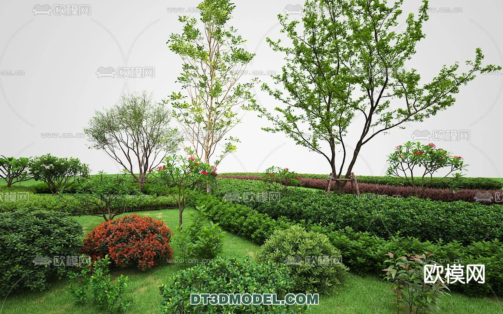 PLANTS – BUSH – VRAY / CORONA – 3D MODEL – 398