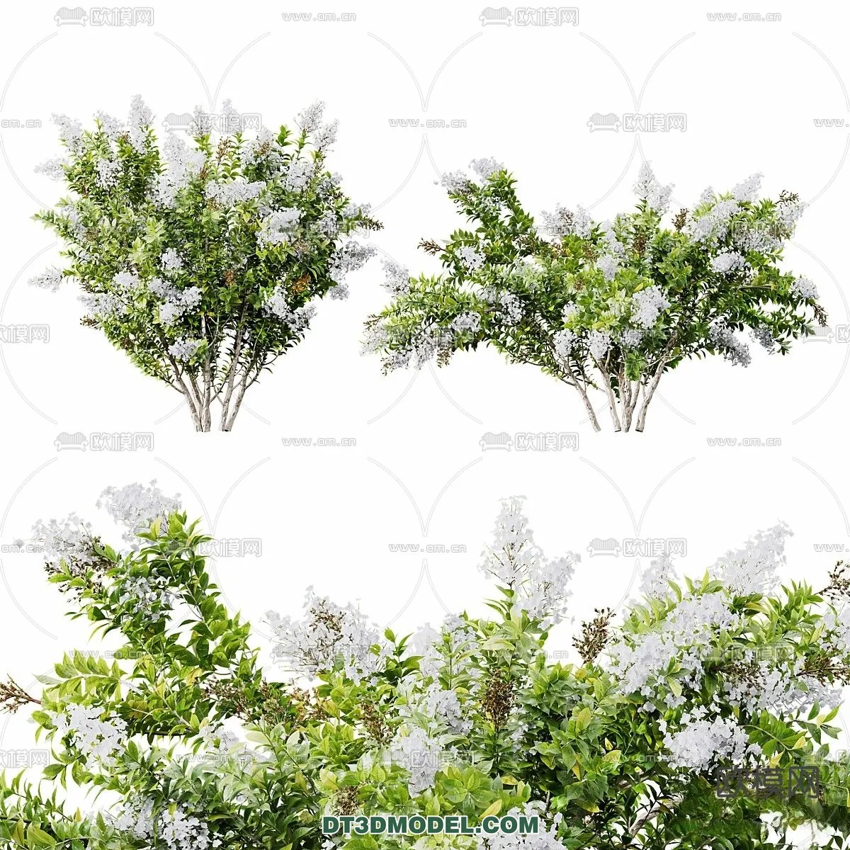 PLANTS – BUSH – VRAY / CORONA – 3D MODEL – 400