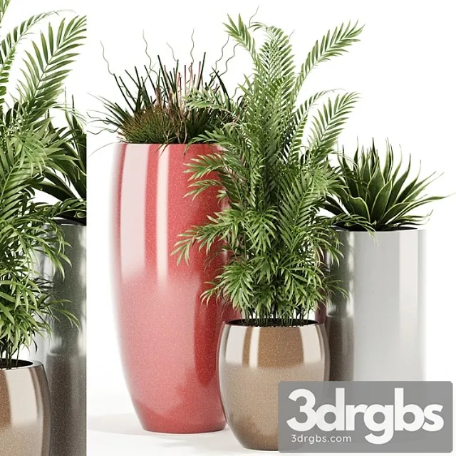 Plants collection 100 awesomeplanters Plants collection 100 awesomeplanters