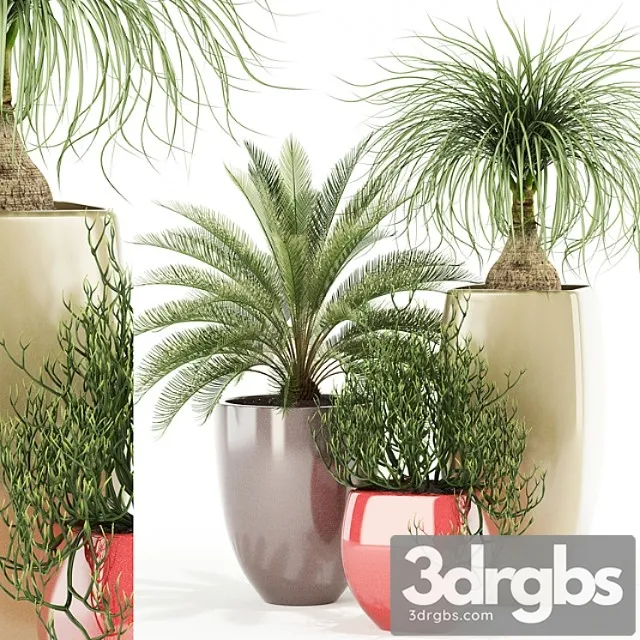 Plants collection 101 awesomeplanters Plants collection 101 awesomeplanters