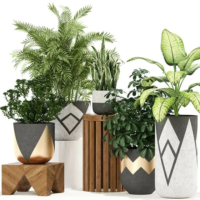 Plants collection 109 3D Model