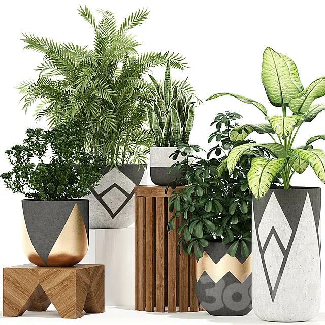 Plants collection 109 3D Model Plants collection 109 3D Model