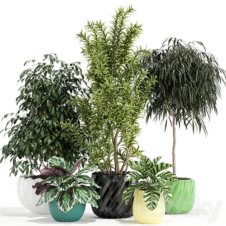 Plants collection 111 3D Model