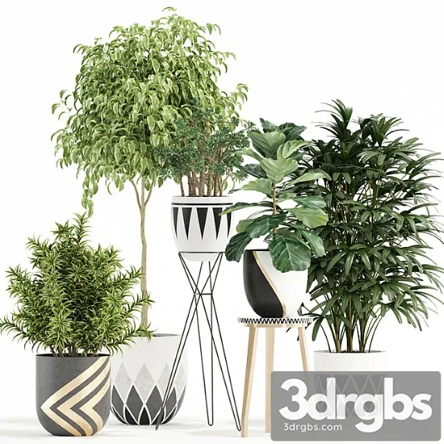 Plants collection 112 Plants collection 112