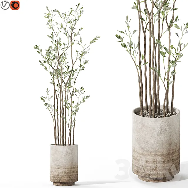 Plants collection 1124 3D Model