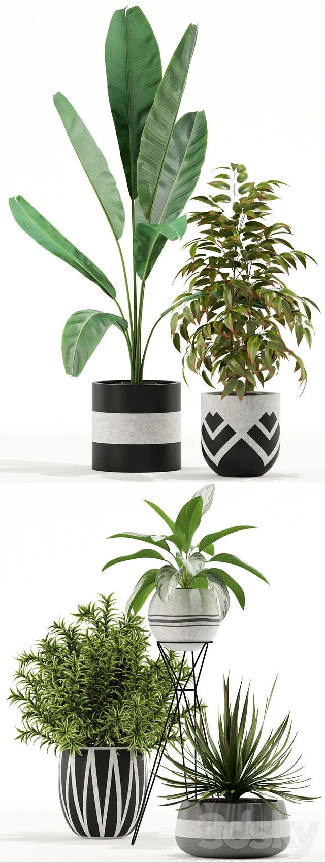 Plants Collection 114 3D Model