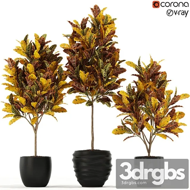 Plants collection 120 Plants collection 120