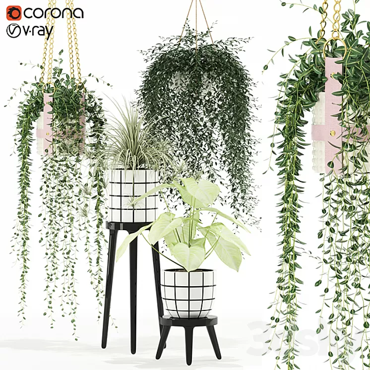 Plants collection 121 3D Model