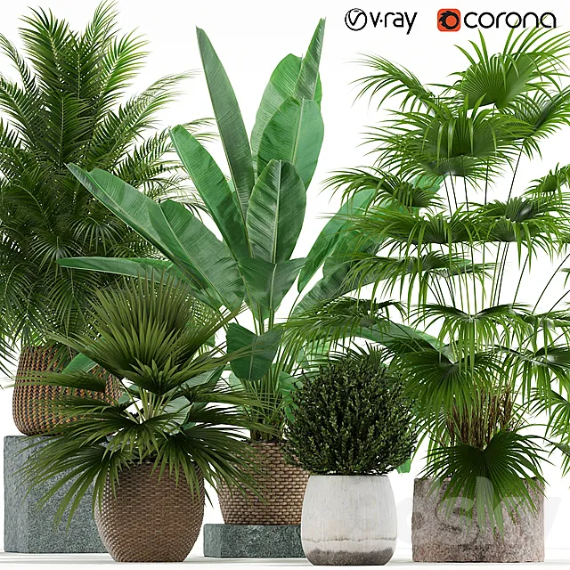 Plants collection 125 3DModel Plants collection 125 3DModel