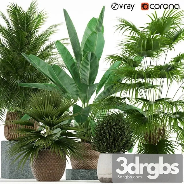 Plants collection 125 Plants collection 125