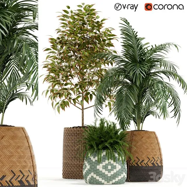 Plants collection 126 3D Model