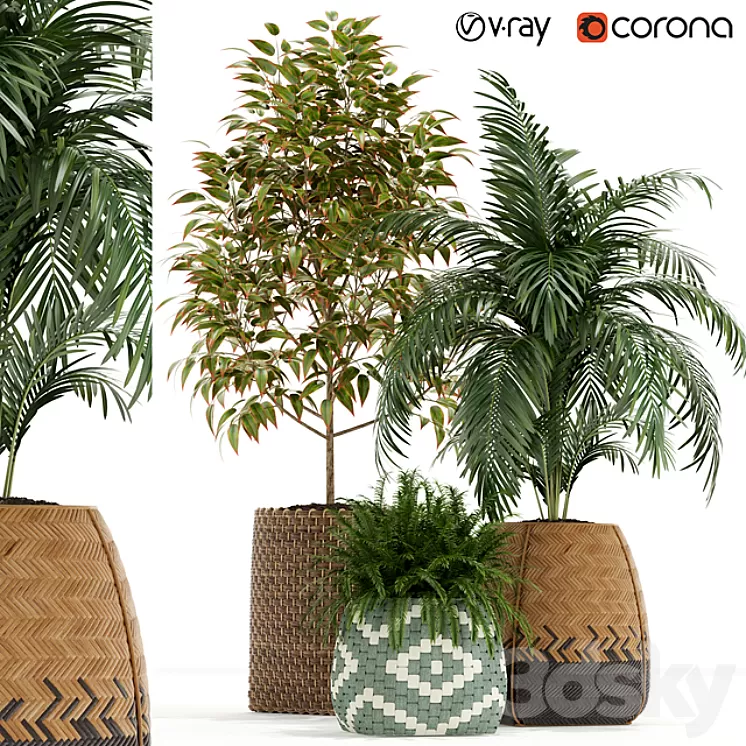 Plants collection 126 3D Model