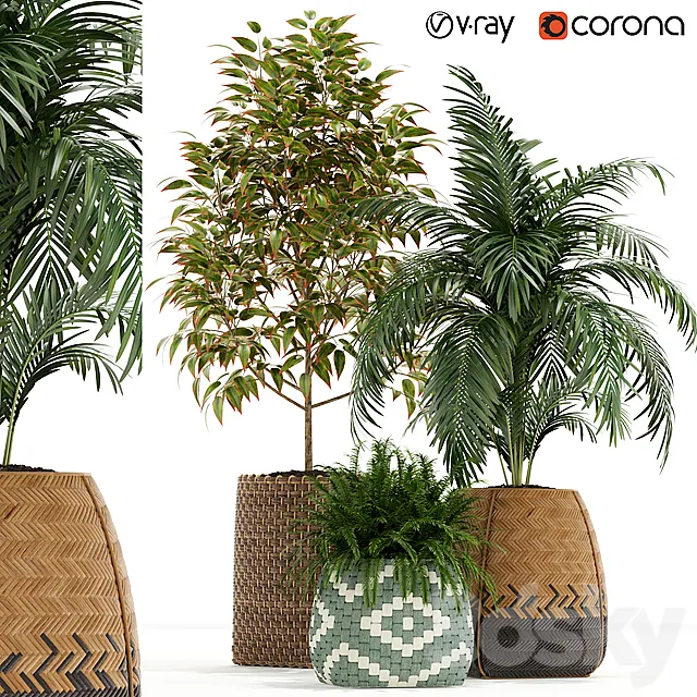 Plants collection 126 3DModel Plants collection 126 3DModel