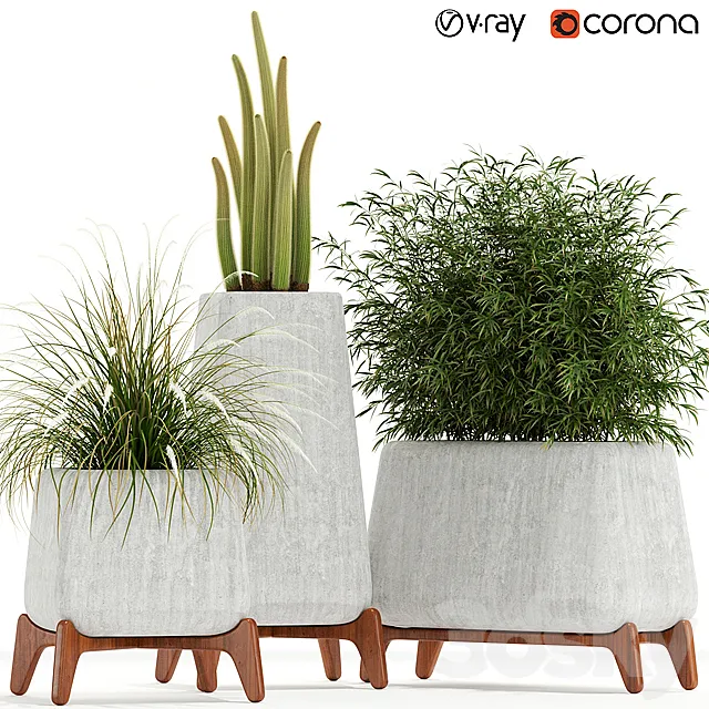 Plants collection 128 indigenus terra 3D Model Plants collection 128 indigenus terra 3D Model