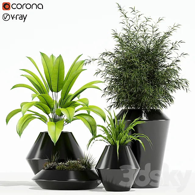 Plants collection 133 Westelm Modern Planters 3D Model Plants collection 133 Westelm Modern Planters 3D Model