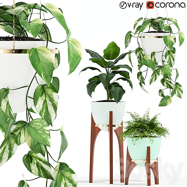 Plants collection 134 Retro Print Revival Planter 3D Model Plants collection 134 Retro Print Revival Planter 3D Model