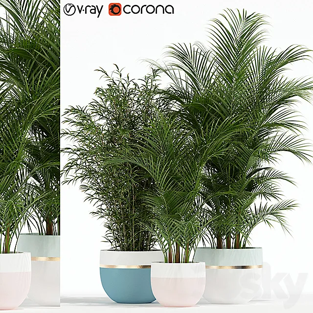 Plants collection 136 3DModel Plants collection 136 3DModel