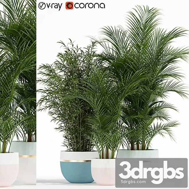 Plants collection 136 Plants collection 136