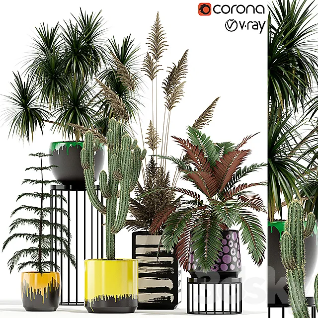 Plants collection 139 3D Model Plants collection 139 3D Model