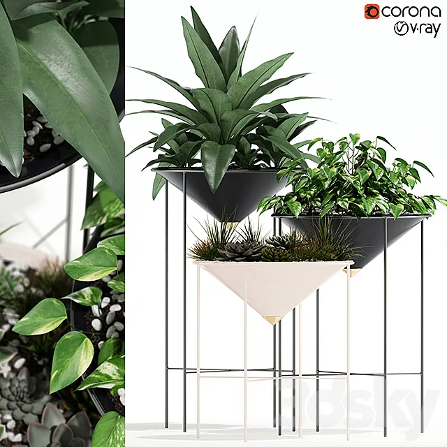 Plants collection 141 Artica 3DModel
