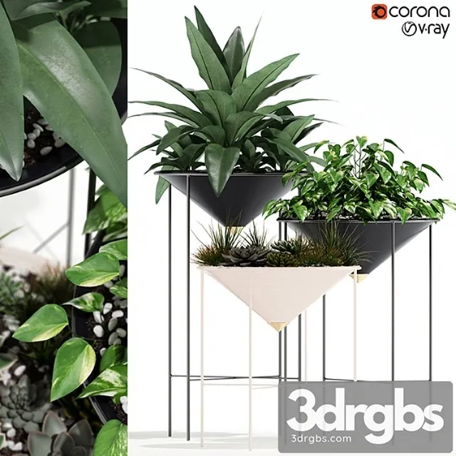 Plants collection 141 artica Plants collection 141 artica