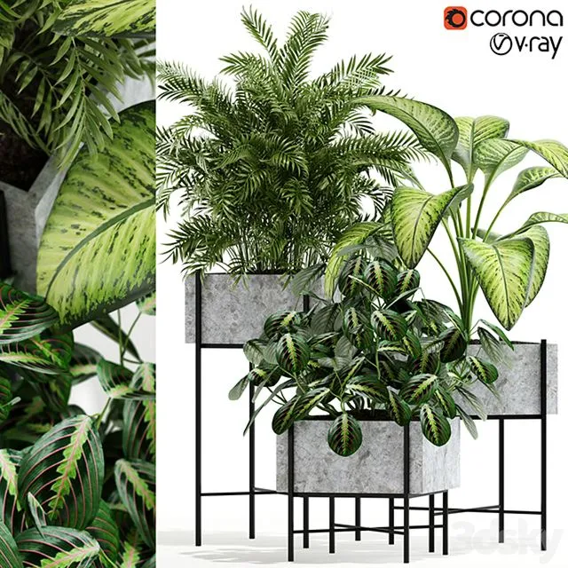 Plants collection 143 Opalo 3D Model Plants collection 143 Opalo 3D Model