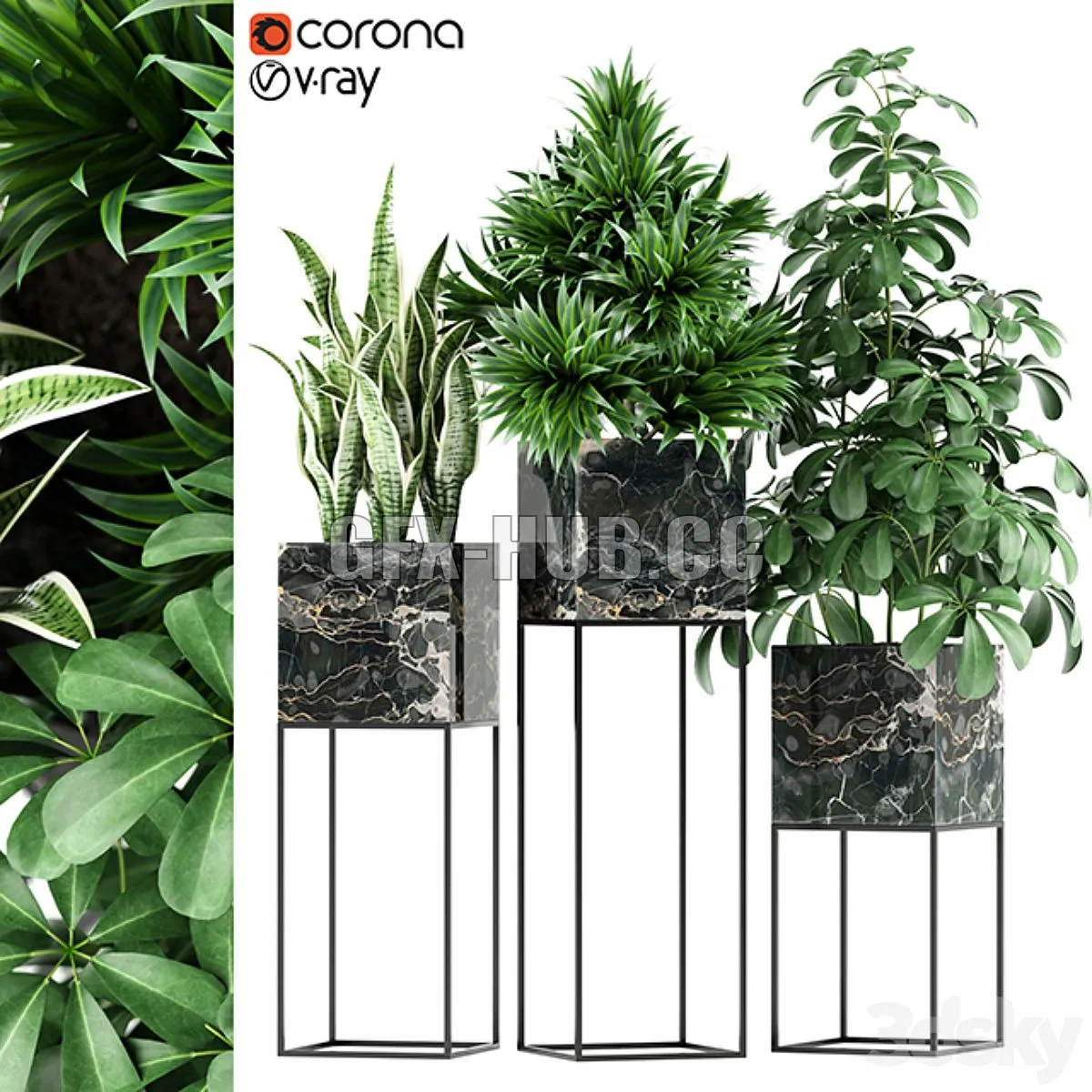 Plants collection 144 MAIA 3D Model Plants collection 144 MAIA 3D Model