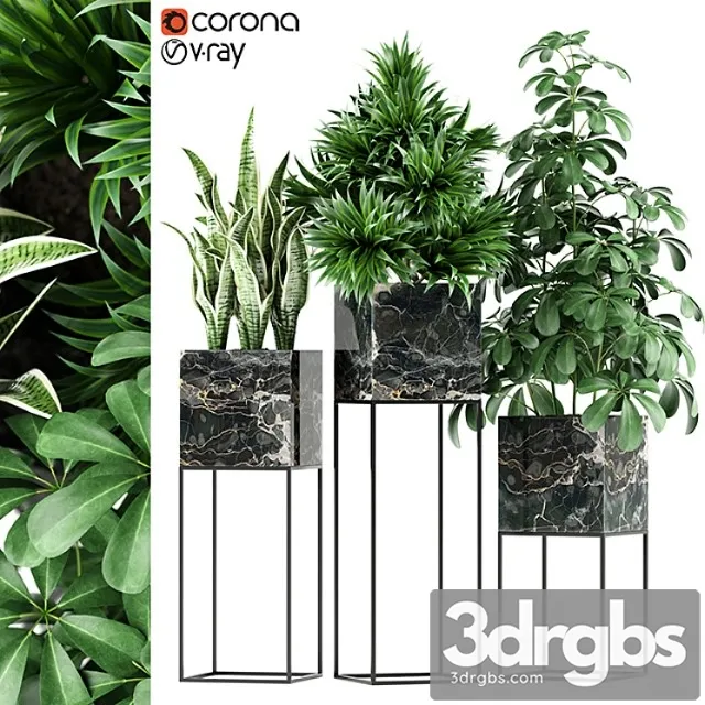 Plants collection 144 maia Plants collection 144 maia