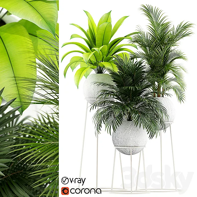 Plants collection 145 PIEDRA LUNA 3D Model Plants collection 145 PIEDRA LUNA 3D Model