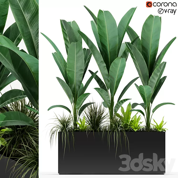Plants collection 150 3D Model
