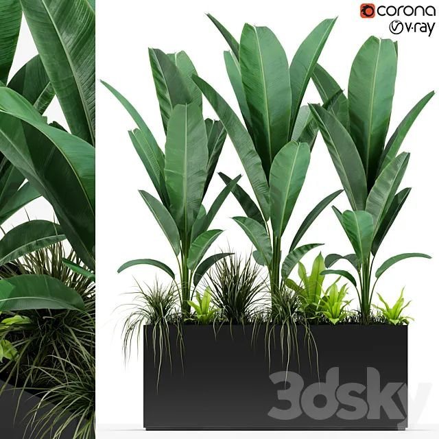 Plants collection 150 3DModel Plants collection 150 3DModel
