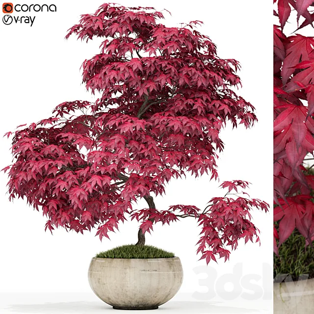 Plants collection 164 3D Model Plants collection 164 3D Model