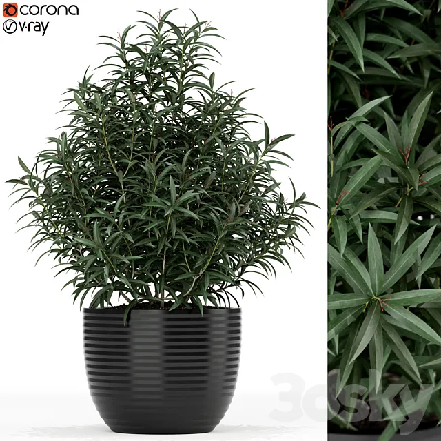 Plants collection 168 3D Model Plants collection 168 3D Model