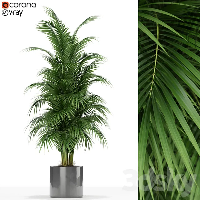 Plants collection 176 3DModel Plants collection 176 3DModel