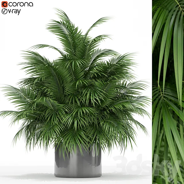 Plants collection 177 3D Model Plants collection 177 3D Model